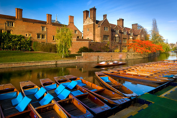 Cambridge - Punts in the River Cam
