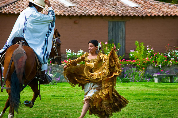 Urubamba - Peruvian Paso