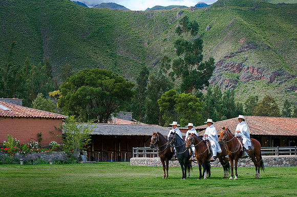 Urubamba - Peruvian Paso