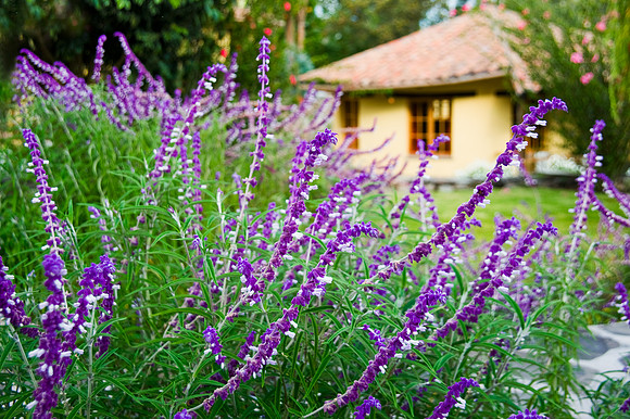 Urubamba - Hotel Sol y Luna